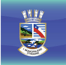 Logo O'Higgins