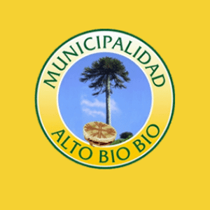 Logo Alto Biobío