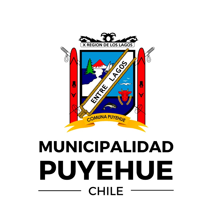 Logo Puyehue