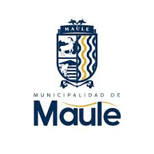 Logo Maule