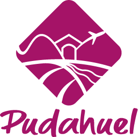 Logo Pudahuel