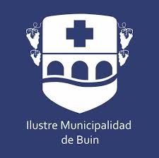 Logo Buin