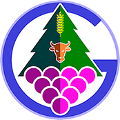 Logo Galvarino