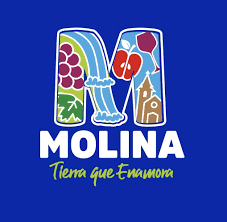 Logo Molina