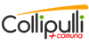 Logo Collipulli
