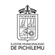 Logo Pichilemu