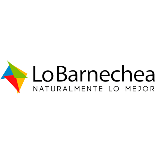 Logo Lo Barnechea