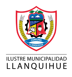 Logo Llanquihue