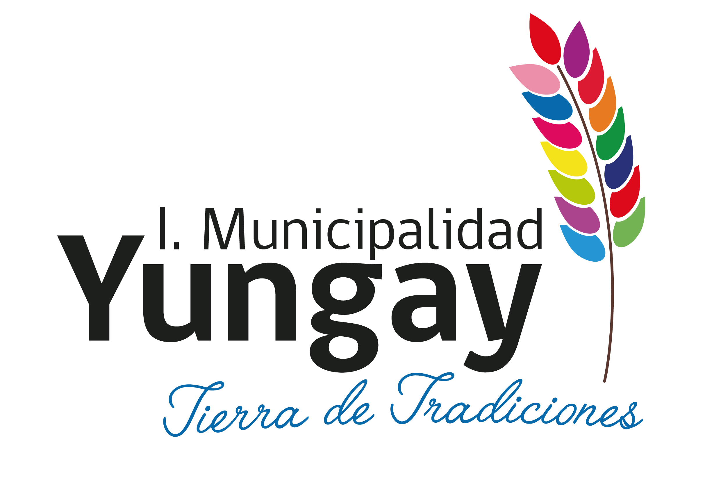 Logo Yungay
